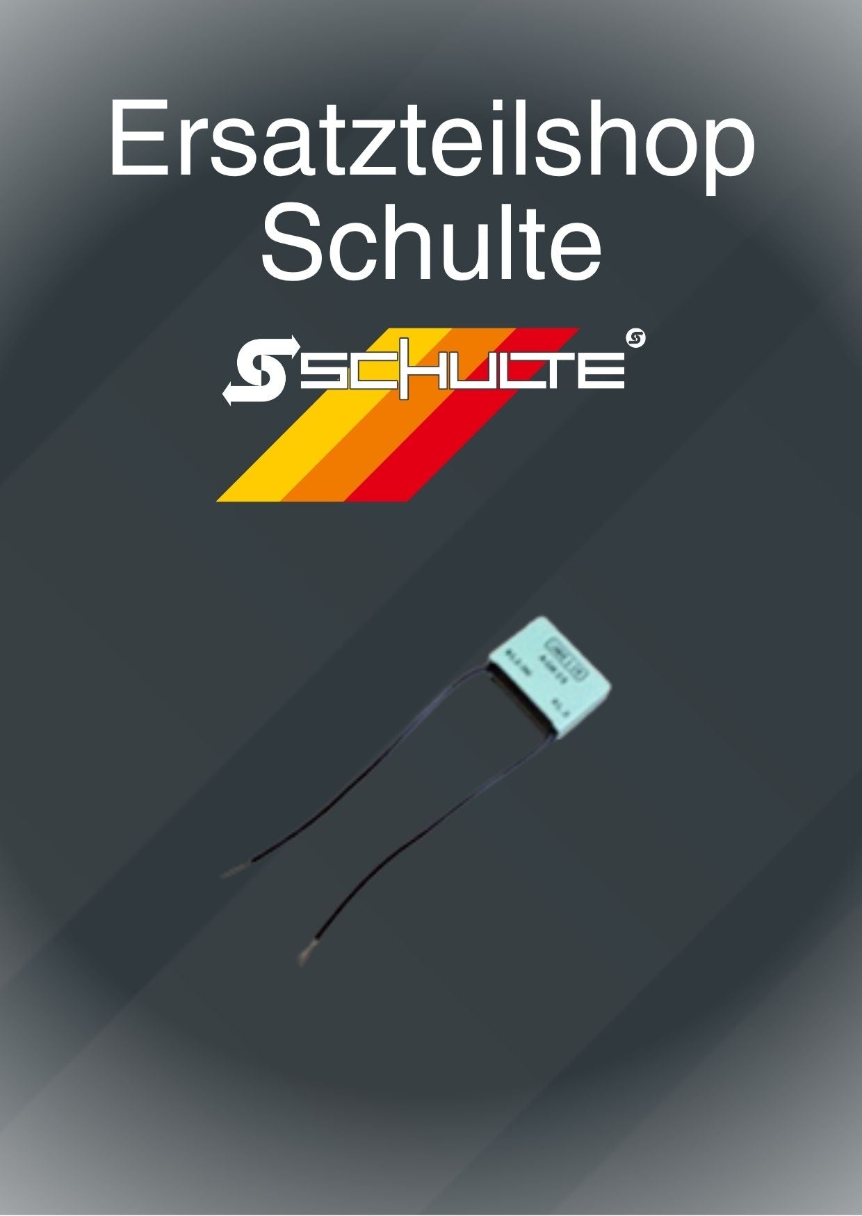 AGK 25 PTC Belastungswiderstand für LMG