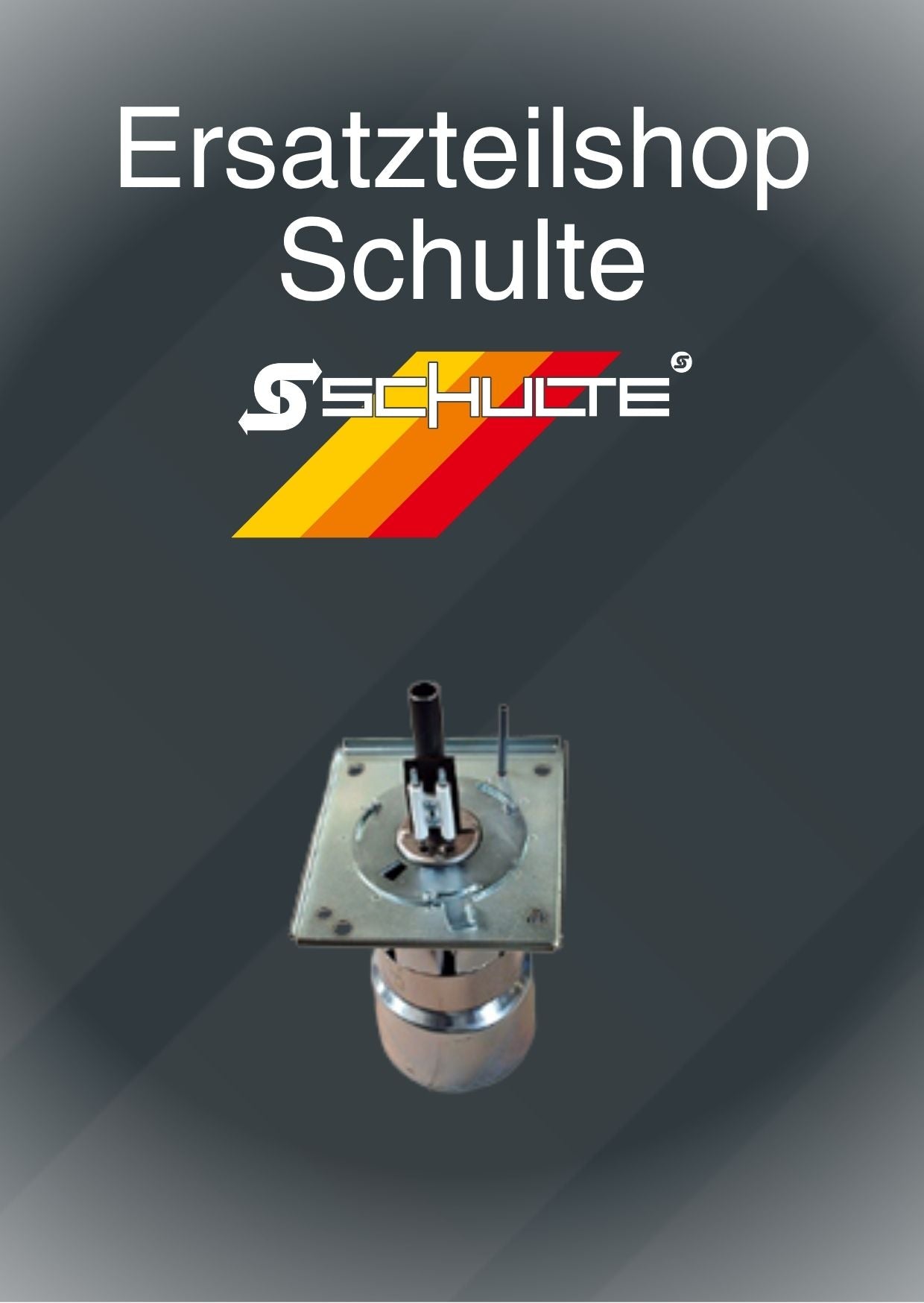 BG Mischeinrichtung EST 200 EST18/200-24/200 mit Gaslanze + Rez.kopf 14xDm.15/14xDm.15/17 gerade