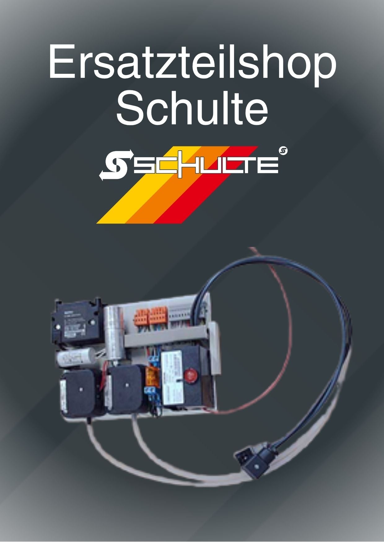 BG Elektronik Einschub kpl. EST200 I-stufig