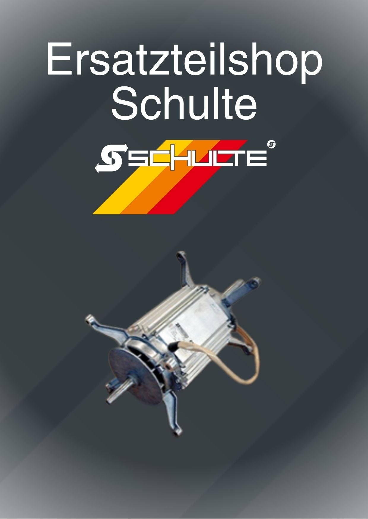 spez. Lüftermotor L8FGF2B - 264                für 2  Laufräder