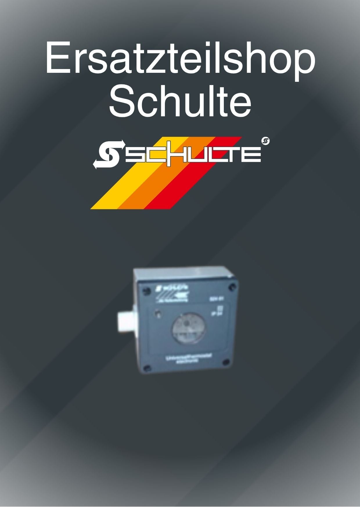 Raumthermostat elektronisch                      AZT-I 524 61